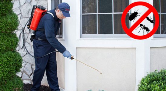 Çaykara Böcek ve Haşere İlaçlama böcek ilaçlama ve haşere kontrolü — ilaclama-tr.com